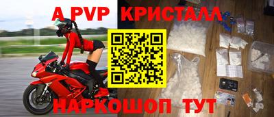 spice Кунгур