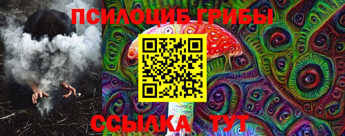 Псилоцибиновые грибы Cubensis  как найти   Волжский  Вход с VPN 